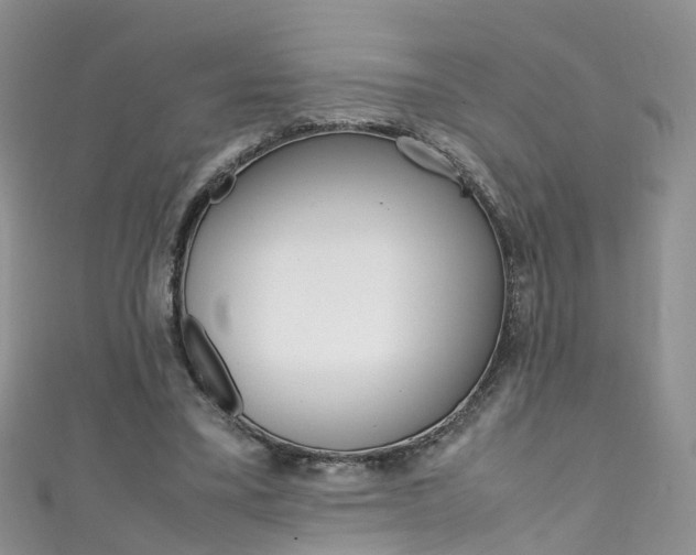 X0000111430395200907131044