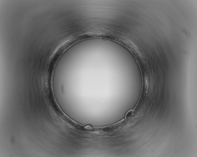 X0000111430396200907131044