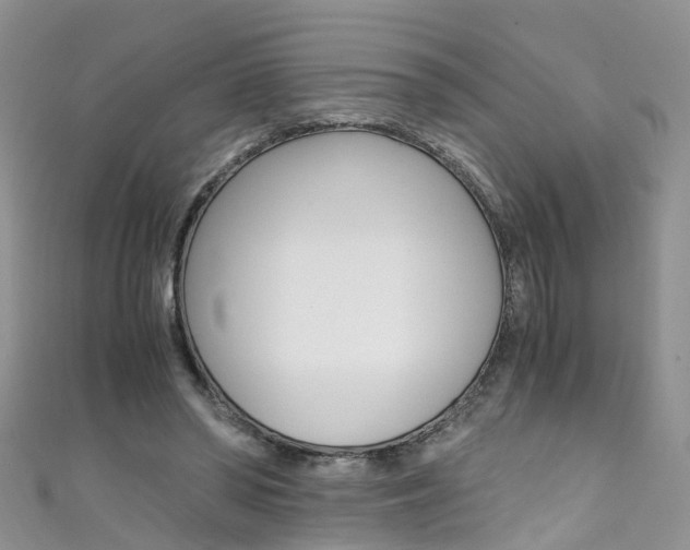 X0000111430398200907131044