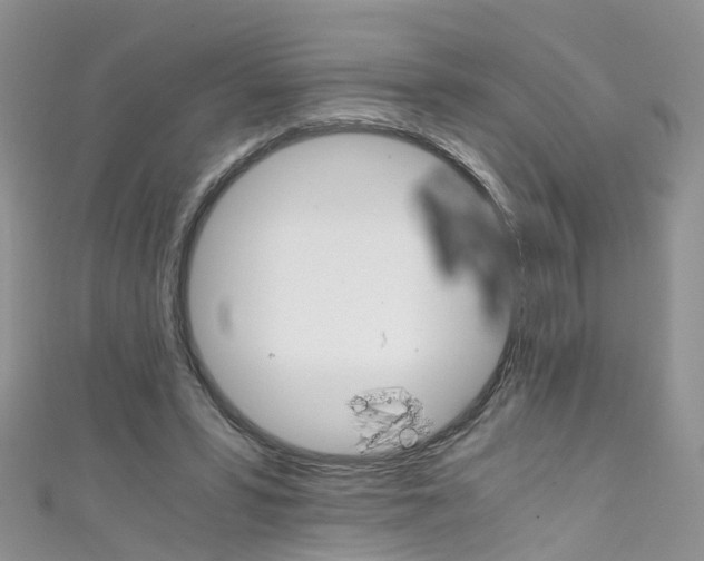 X0000111430399200907131044