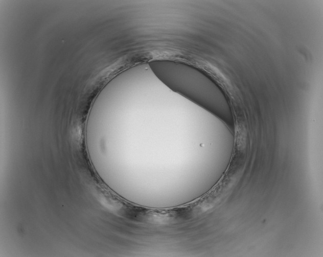 X0000111430405200907131044