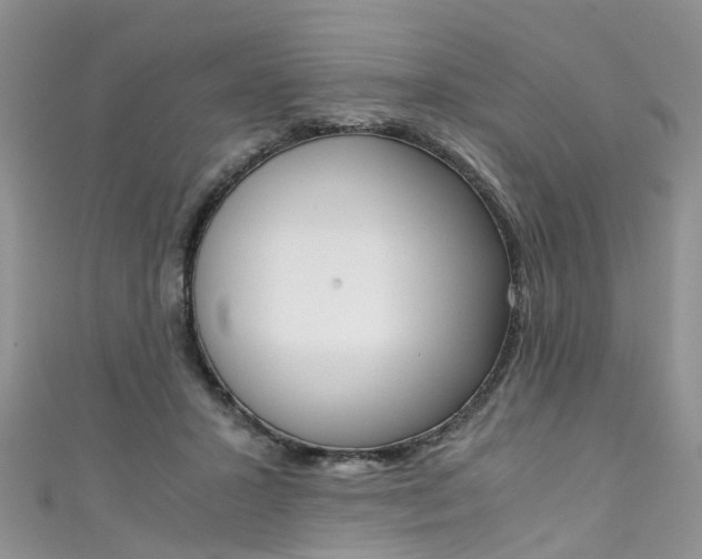 X0000111430407200907131044