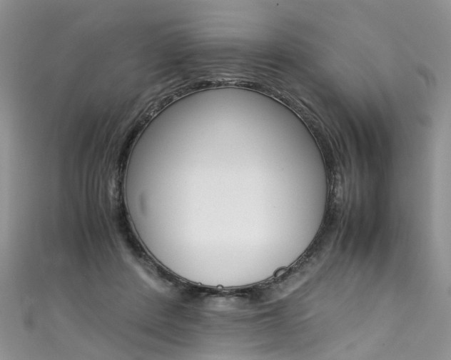 X0000111430408200907131044