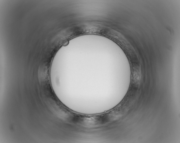 X0000111430411200907131044