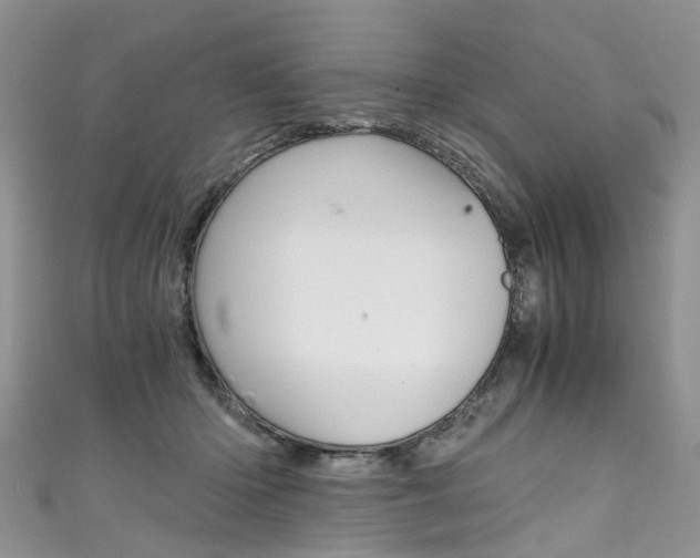 X0000111430414200907131044