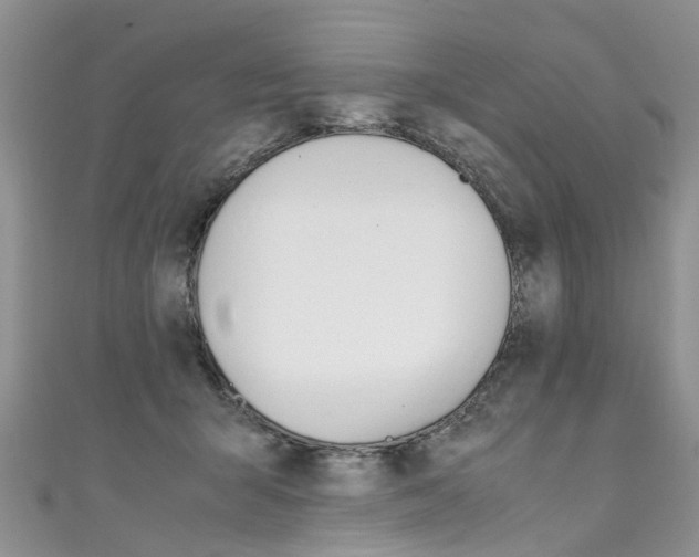 X0000111430415200907131044