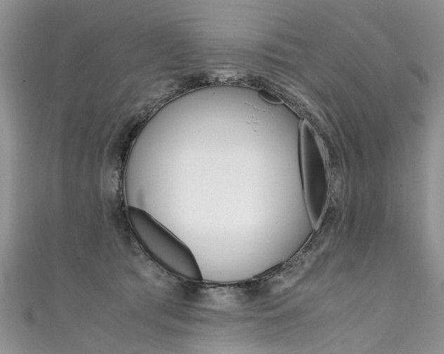 X0000111430417200907131044