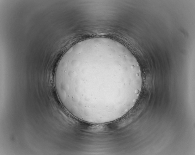 X0000111430418200907131044
