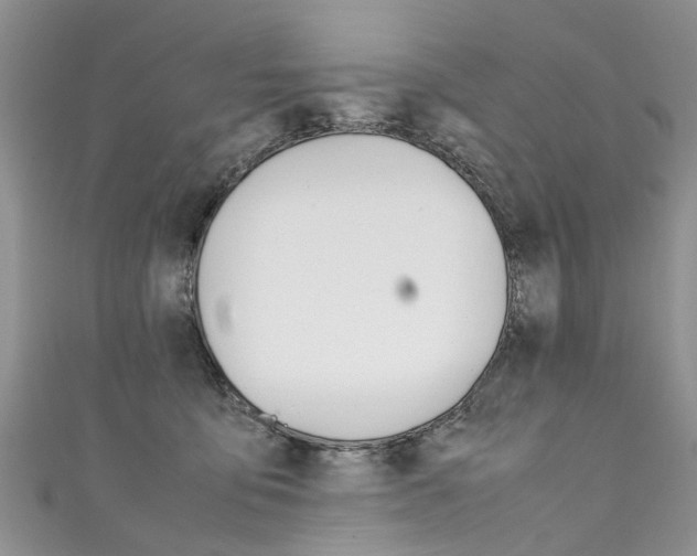 X0000111430419200907131044