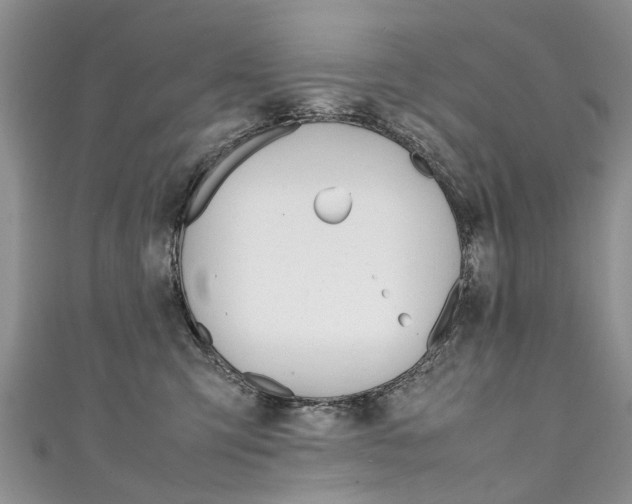 X0000111430423200907131044