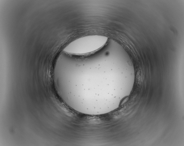 X0000111430424200907131044
