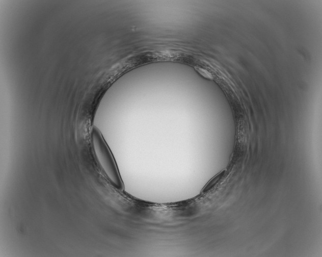 X0000111430425200907131044