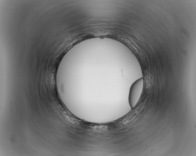 X0000111430426200907131044