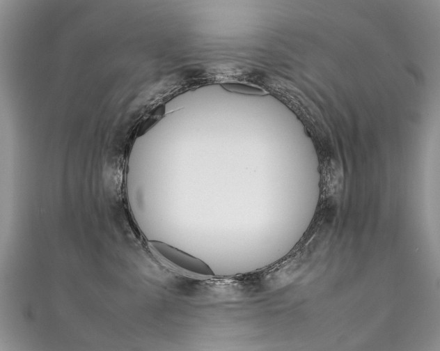 X0000111430427200907131044