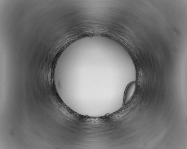 X0000111430428200907131044