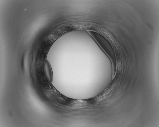 X0000111430429200907131044