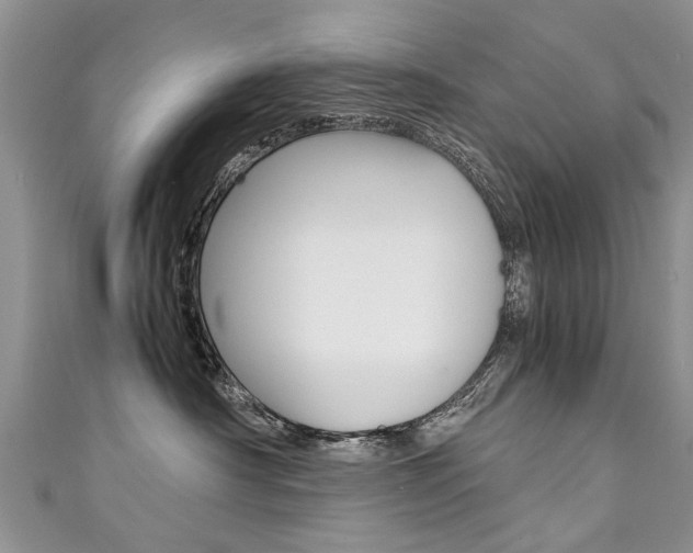 X0000111430430200907131044