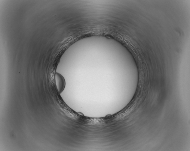 X0000111430432200907131044