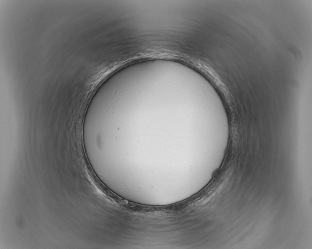 X0000111430433200907131043
