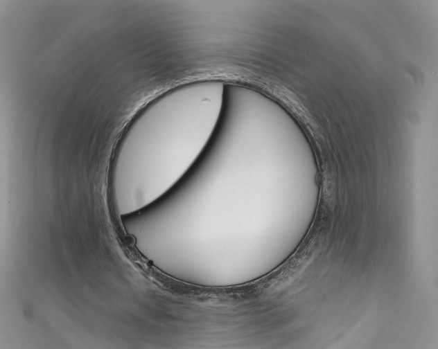 X0000111430434200907131043