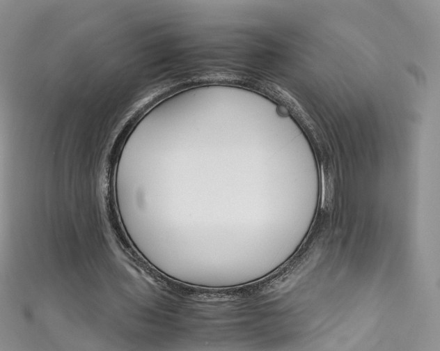 X0000111430435200907131043