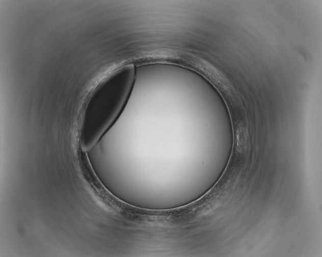 X0000111430436200907131043