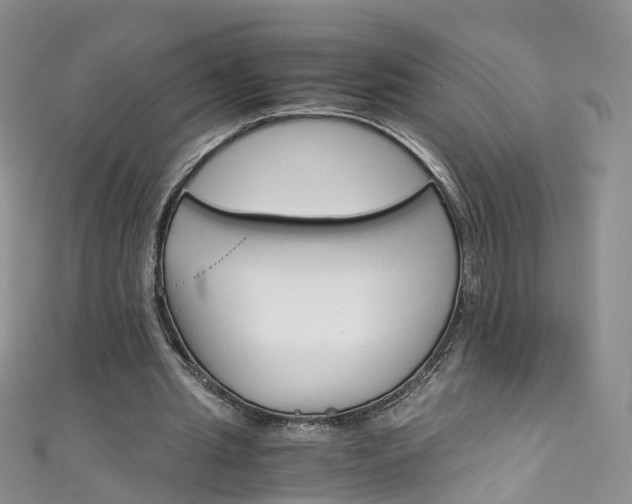 X0000111430437200907131043