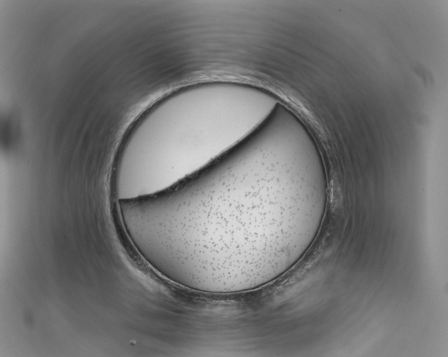 X0000111430438200907131043