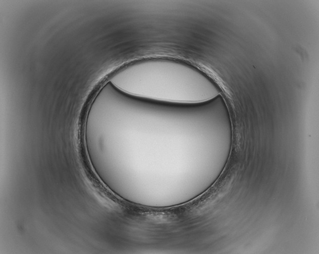 X0000111430439200907131043