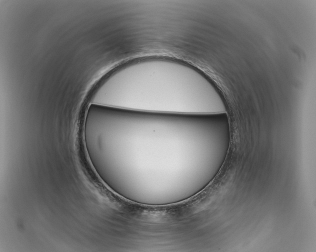 X0000111430440200907131043