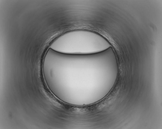 X0000111430442200907131043