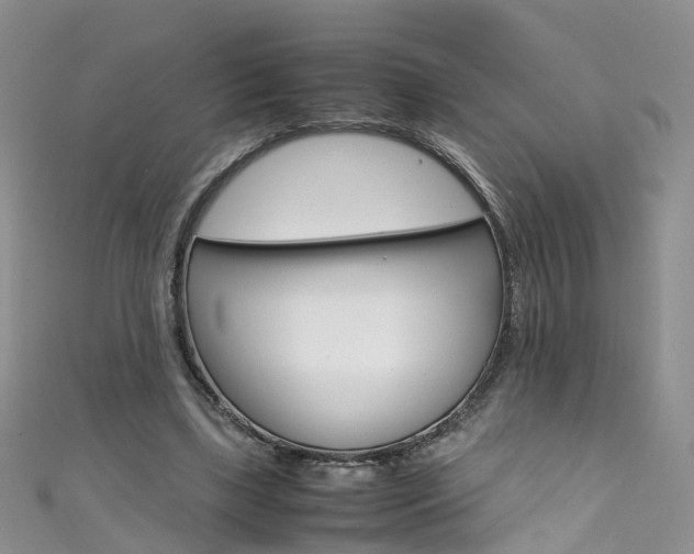 X0000111430443200907131043