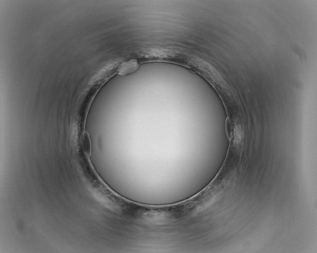 X0000111430444200907131043