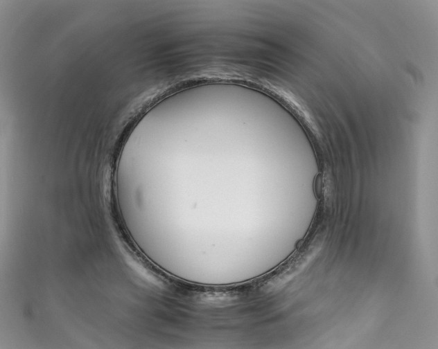 X0000111430445200907131044