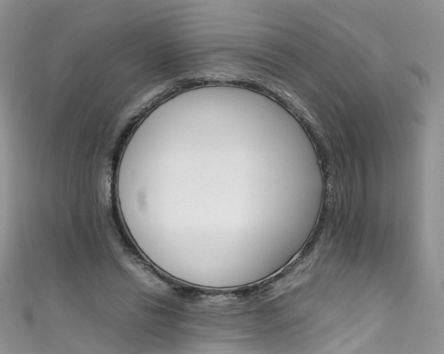 X0000111430446200907131044