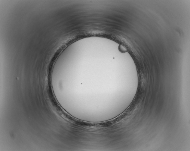X0000111430447200907131044