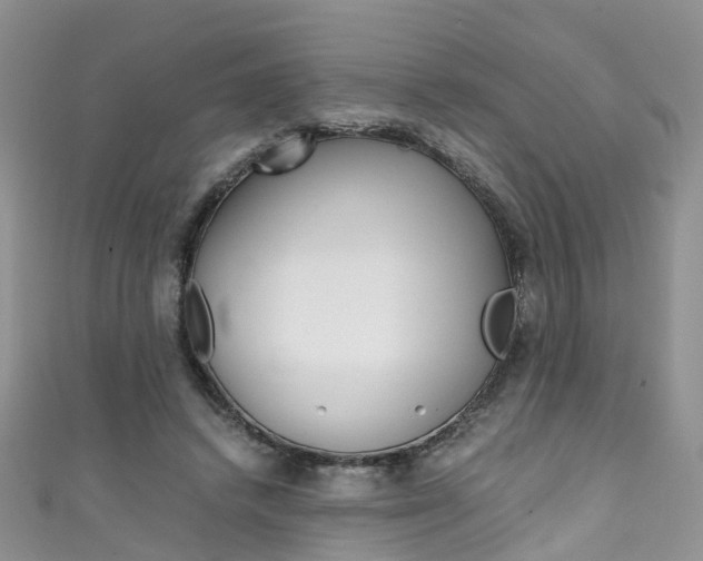 X0000111430448200907131044