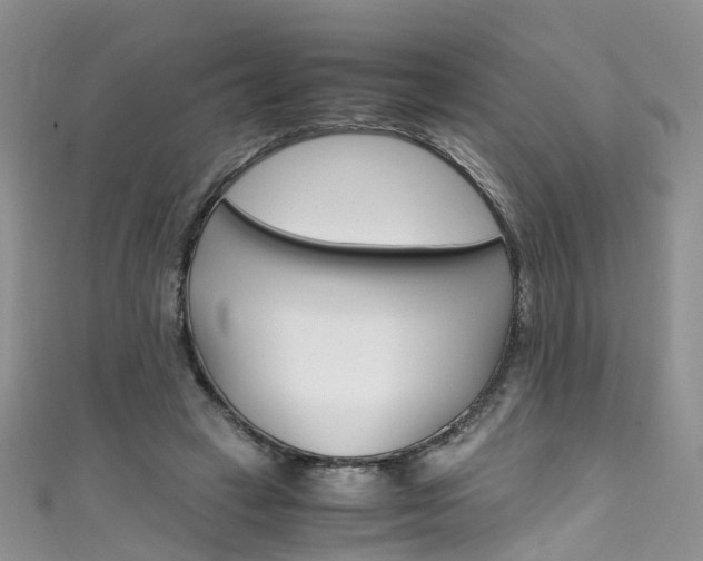 X0000111430449200907131044