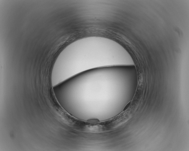 X0000111430452200907131044
