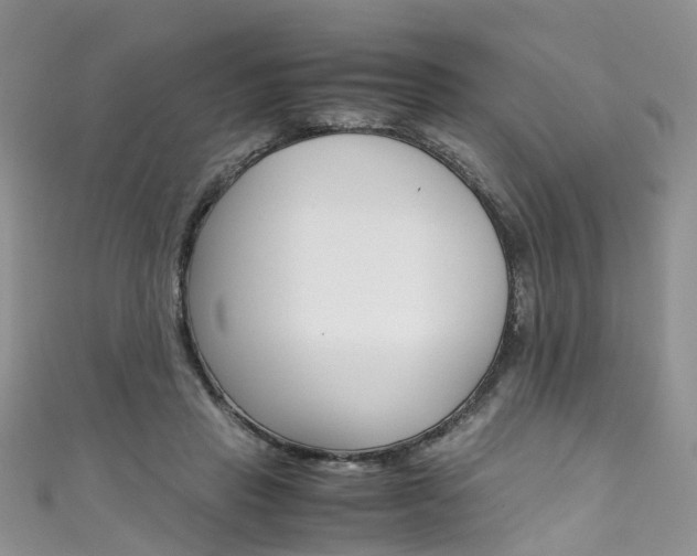 X0000111430453200907131044