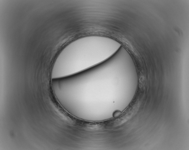 X0000111430454200907131044