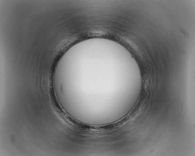 X0000111430455200907131044