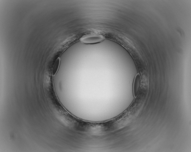 X0000111430456200907131044