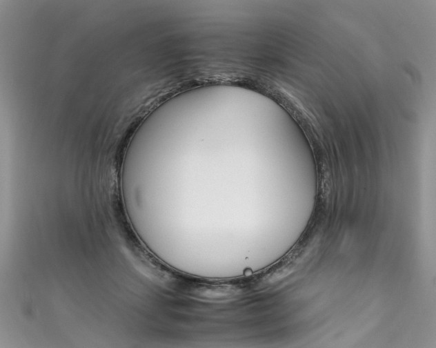 X0000111430459200907131044