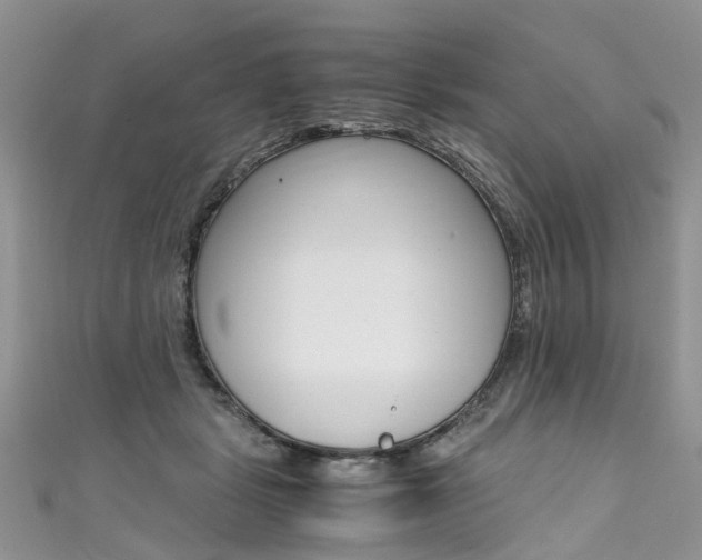 X0000111430461200907131044