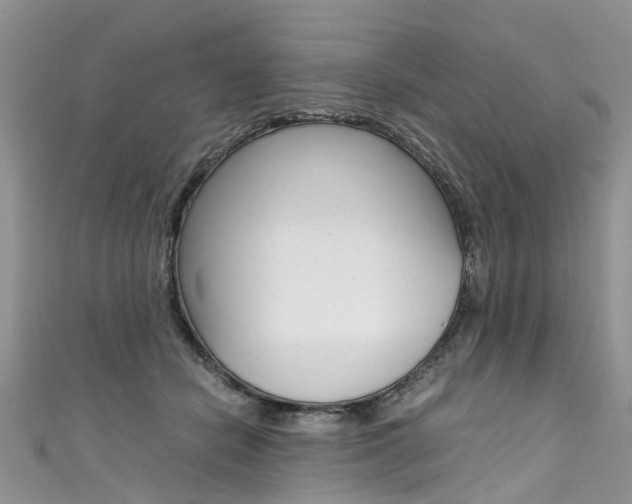 X0000111430462200907131044