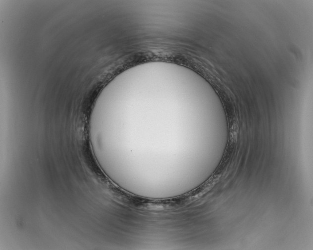 X0000111430464200907131044