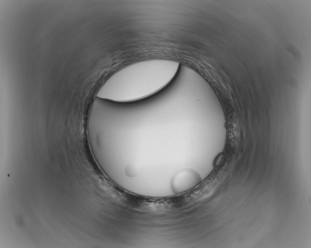 X0000111430466200907131044