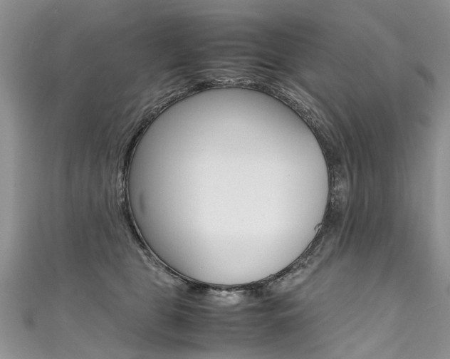 X0000111430469200907131044
