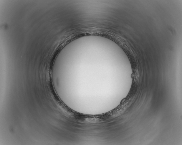 X0000111430470200907131044